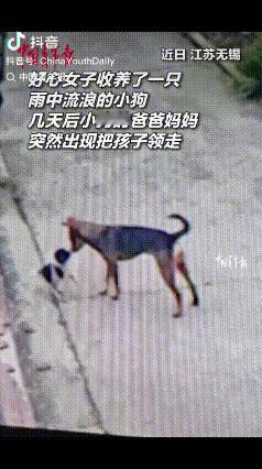 万物皆有灵！江苏无锡，女子收养了一只流浪小狗，还准备了40斤狗粮，没想到几天后小