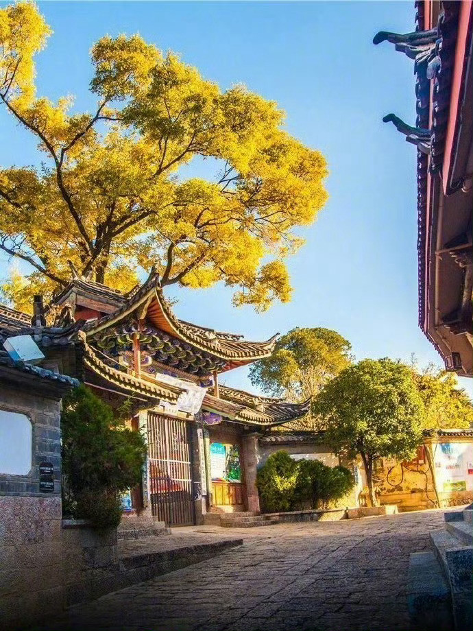 丽江的秋，藏着许多你不得不来的理由。​​​​