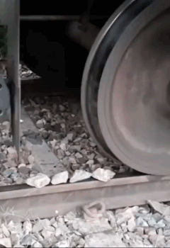 什么小卡拉米也敢碰瓷我？