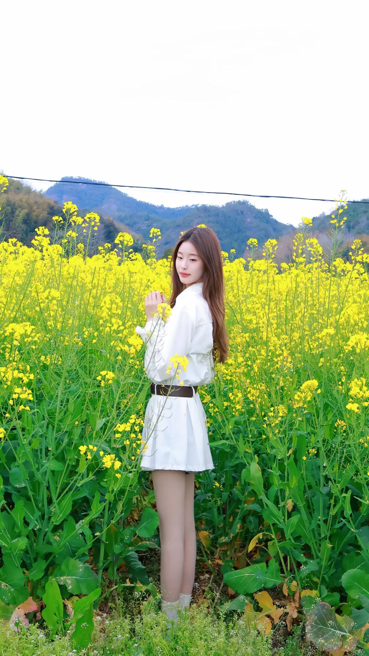 春日花田里，红妆映芳菲。