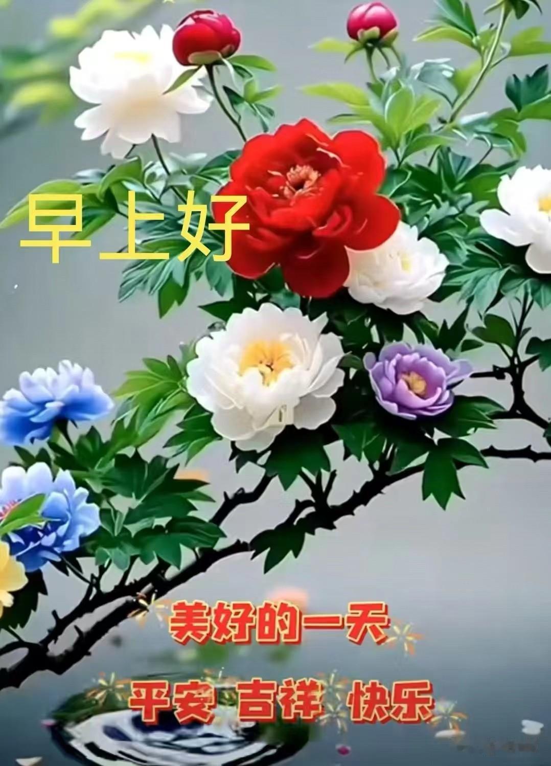 夜已深，窗外的雨声轻轻敲打。桌上的咖啡早已凉透，我却舍不得起身——因为此刻，心中
