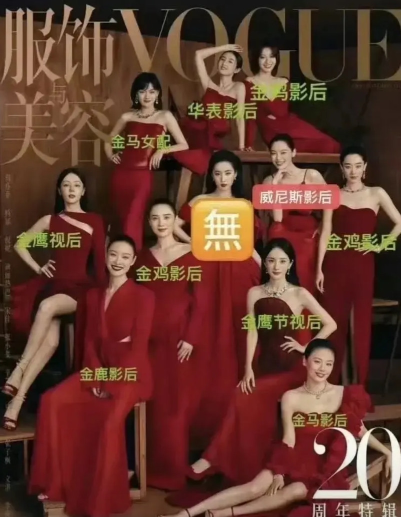 这么一看，真替刘亦菲尴尬。原来Vogue封面11人只有她没有奖，其他人都有