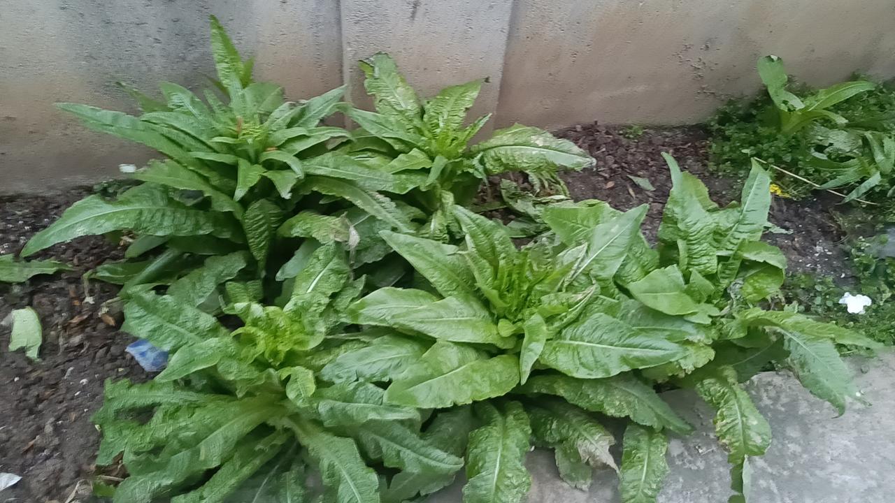 为什么说深呼吸和拉伸是早晨最养生的事情？因为它们不仅仅是身体的唤醒，更是一场心灵