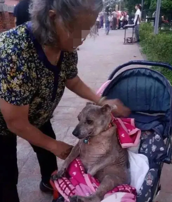 我楼下住着一对60来岁的老夫妻，他们的儿子已经成家另单独过了。老夫妻每次上街散步