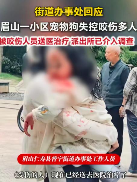 “我的狗不咬人！”四川眉山，一名女子饲养的狗突然失控撕咬一名三岁的女童，耳朵都被