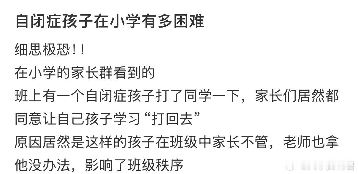 自闭症孩子在小学有多困难