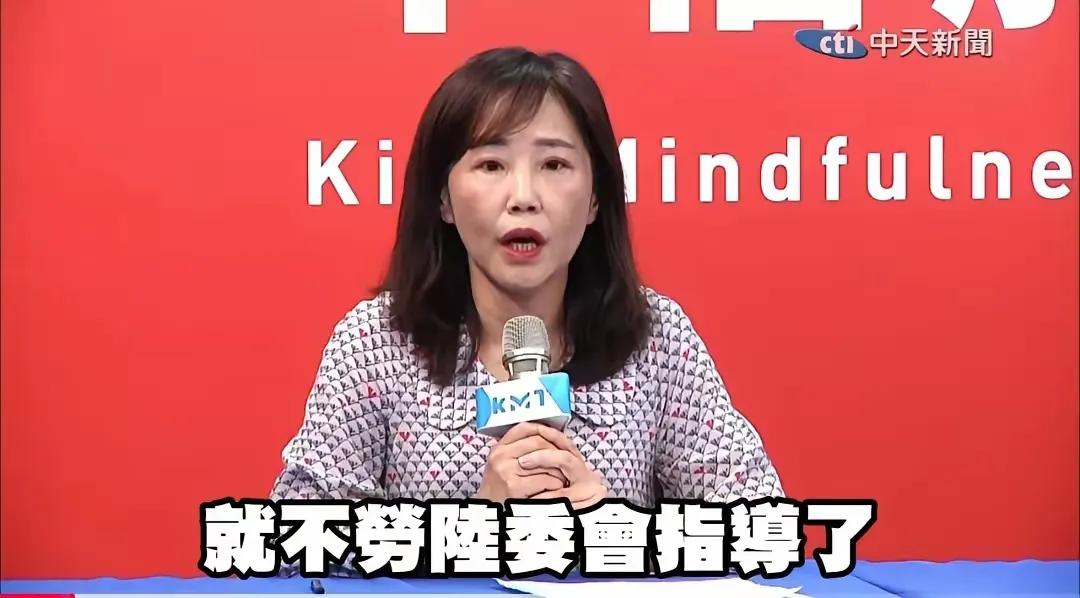 尹乃菁硬刚民进党！一句“不协助”戳破两岸交流的遮羞布尹乃菁真的好呛啊！国