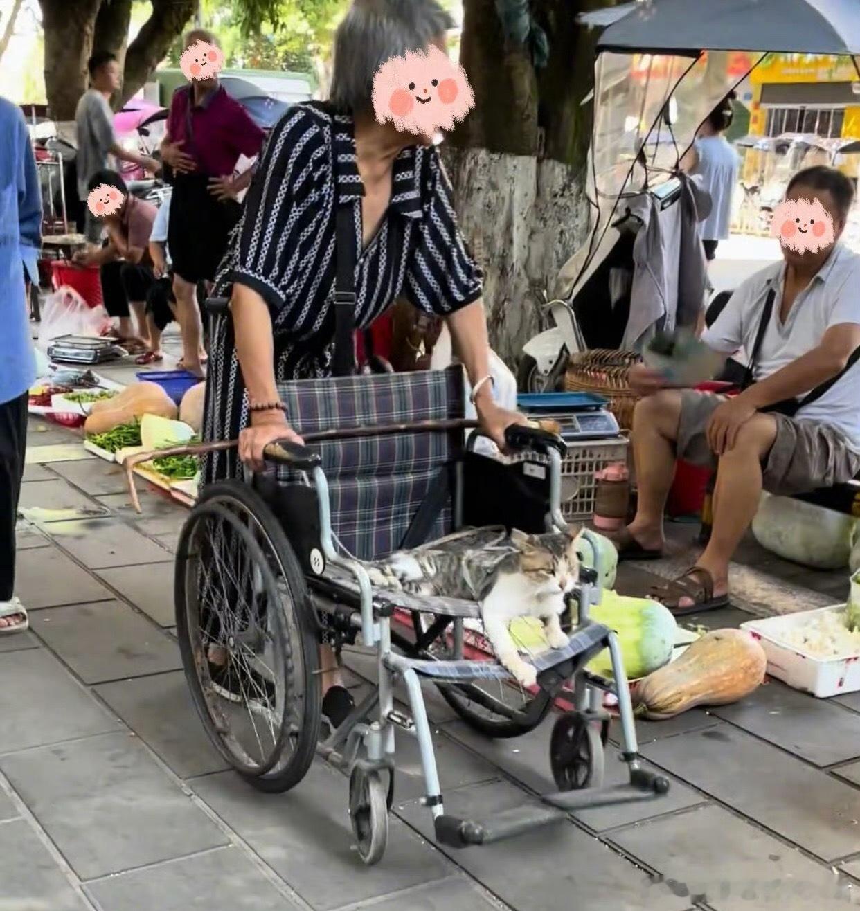 大暴雨特大暴雨要来了爱猫人老了的时候[doge]：​​​