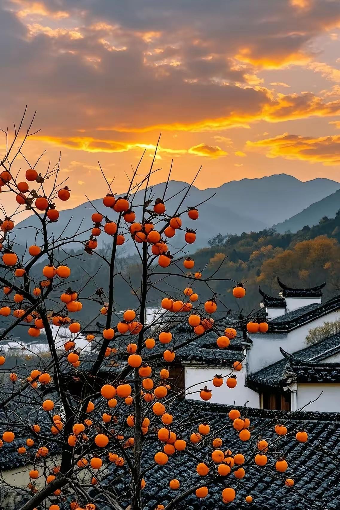 不知道大家有没有发现一个现象：每年的清明节，那些家族很大的，家庭条件比较好的，