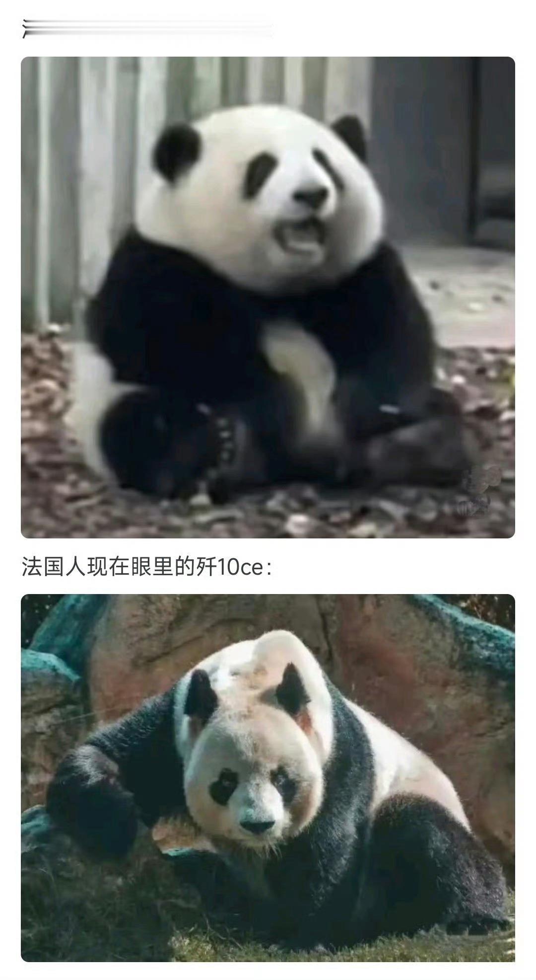 海外看中国[滑稽笑]​​​