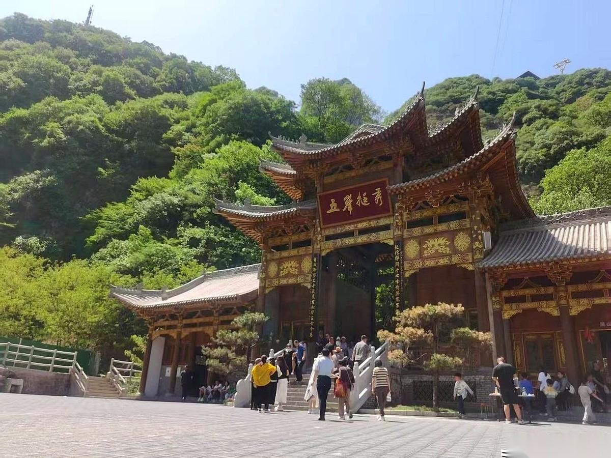 我跟你说个事儿,你可别跟别人说。宝鸡有个地方,景区大门口,长着一片上千年的板栗