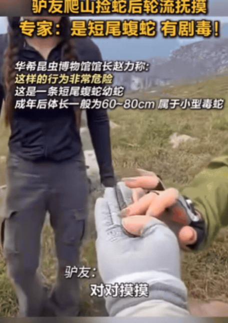 “胆子真大！”10月11日男子和朋友爬山，捡到一条小蛇，觉得挺可爱的，几人轮流抚