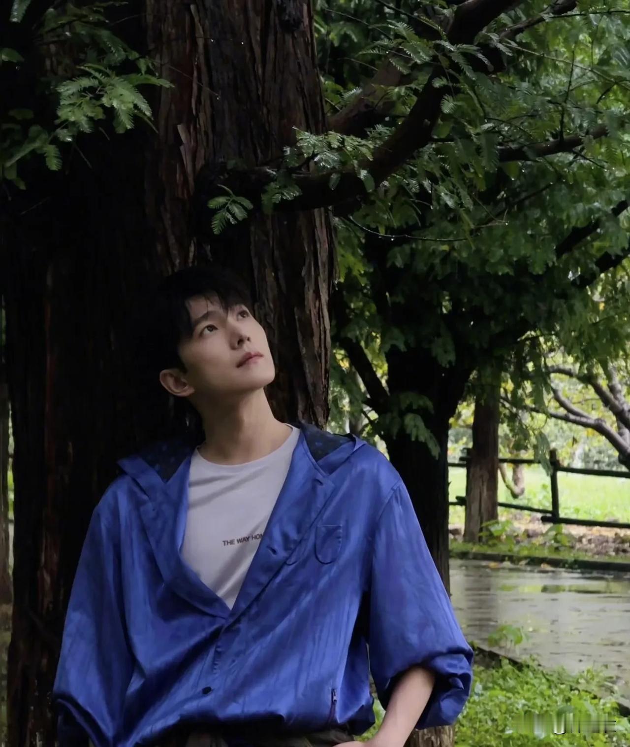 杨洋自从出演凡人修仙传以后，他的路人盘很大的，和某站动漫互相成就，直接上升一个档