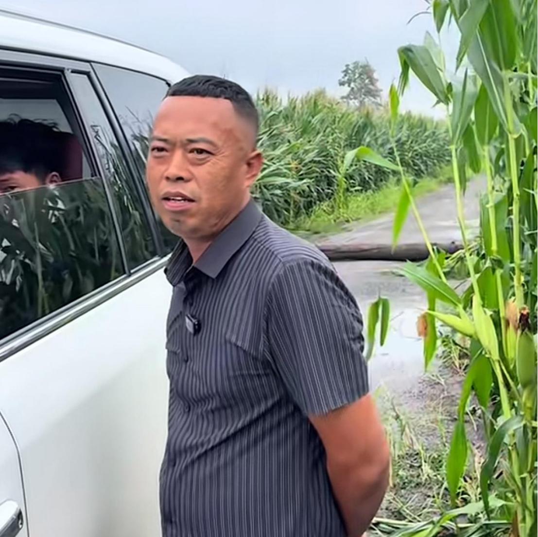 黑龙江“土地王”刘辉这次亏完了，1400亩的玉米地，一阵大风全部刮倒！8月23日