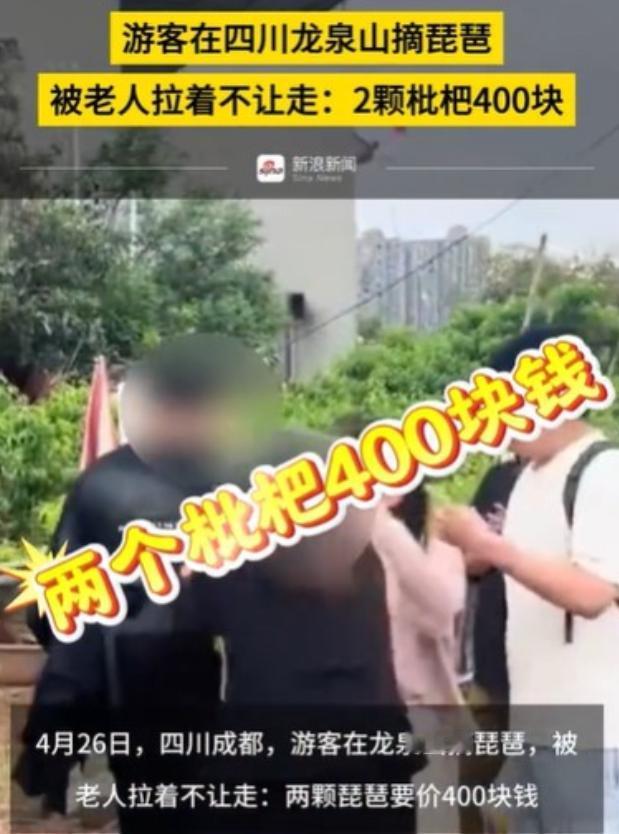 “两颗枇杷400元！”四川龙泉山，几个游客来游玩，看到面前的枇杷，金黄金黄的，很