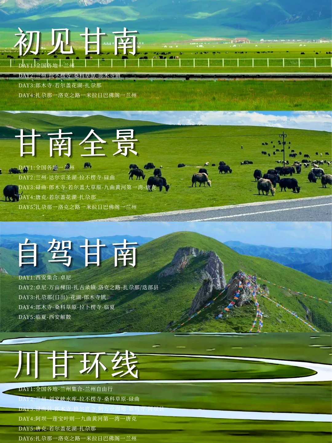 暑假甘南直接封神🌿4 条抄作业路线！