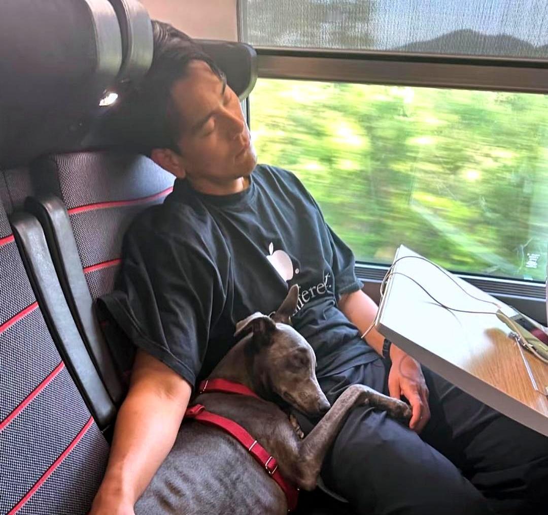 彭于晏遛狗，先被认出的永远是狗。那三条瘦长的影子太显眼了。在台北天母的街头