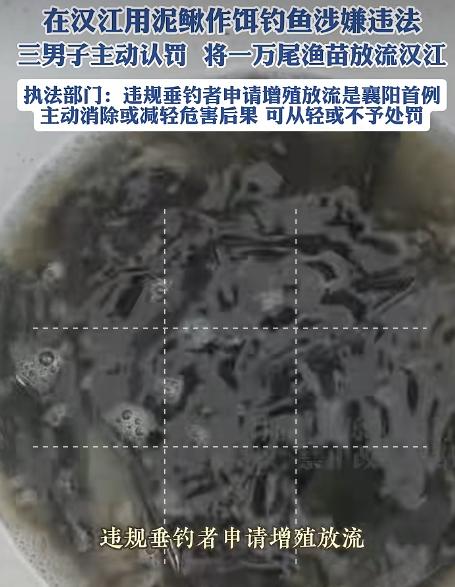 惩罚太轻了！6月13日报道湖北襄阳，3名钓鱼人在汉江钓鱼的时候，挂泥鳅钓，结果被