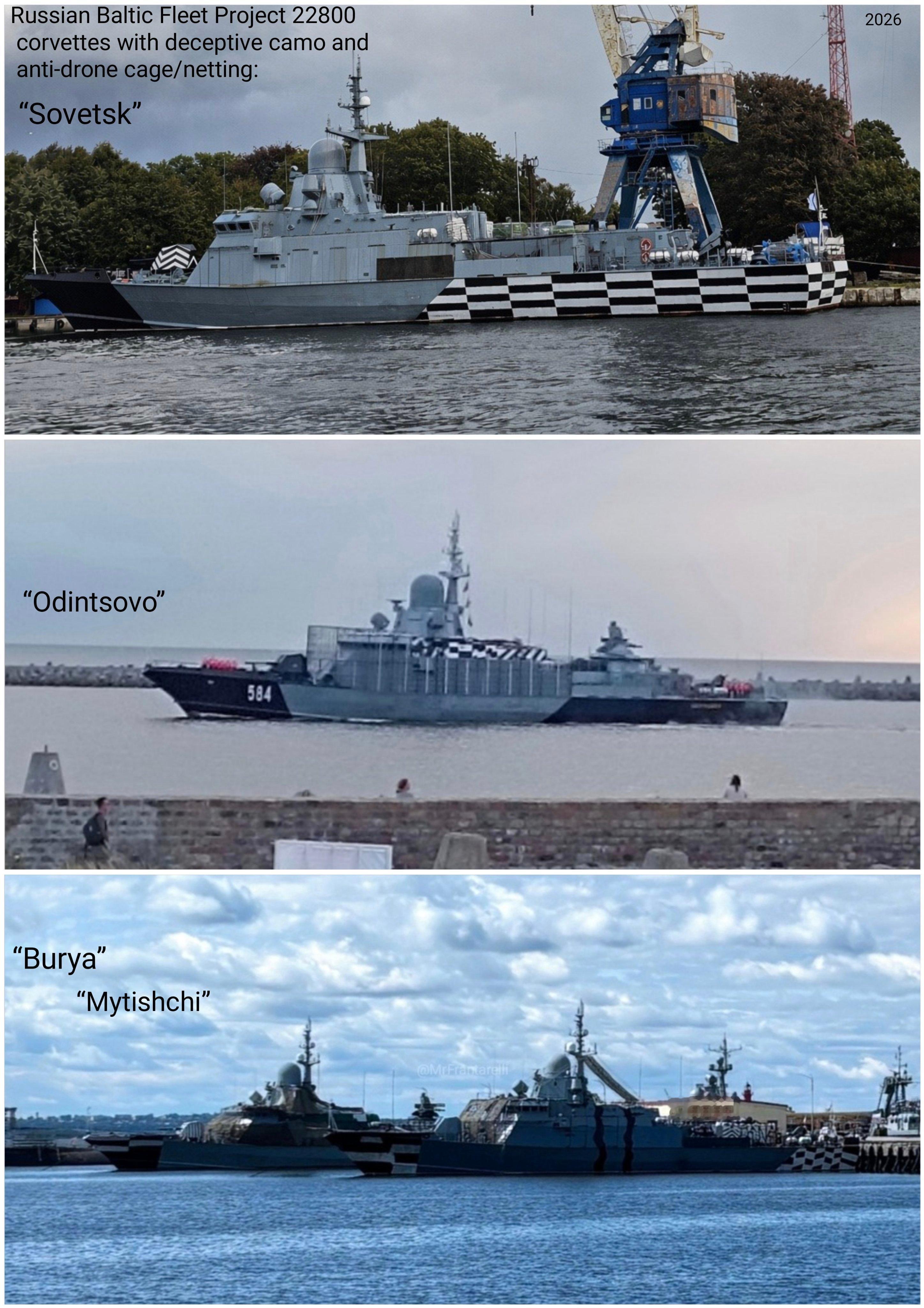 俄罗斯海军波罗的海舰队的4艘22800型“红带蛛“级小型导弹舰：“梅季希”号、