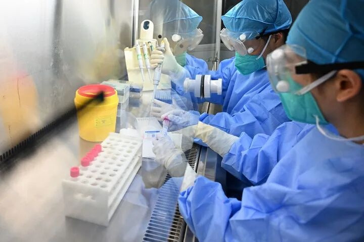 一邮轮出现汉坦病毒感染 会否人传人
