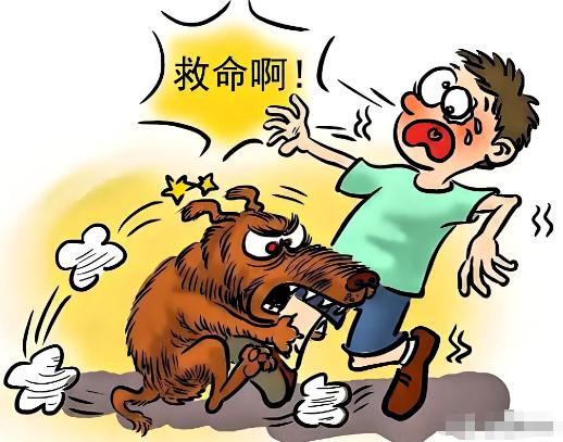 湖南衡阳一名男子饲养的犬只咬伤邻居，伤情达到狂犬病三级暴露，邻居起诉索赔。男子拒