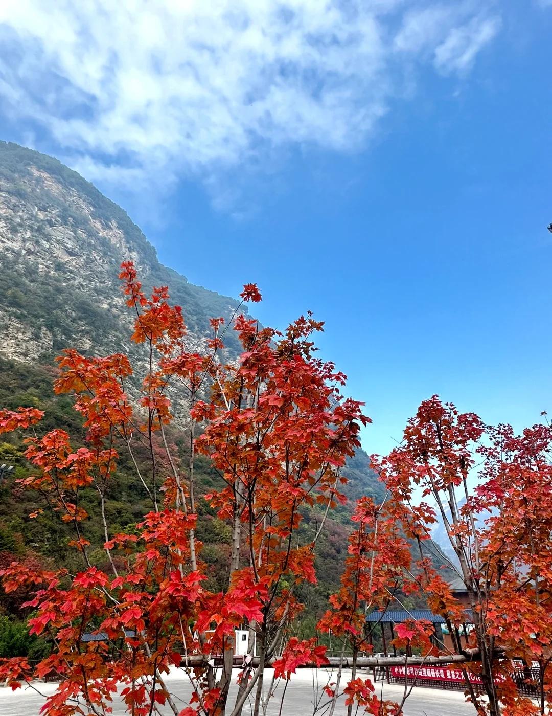 10.30少华山实拍，无滤镜版👀从西安自驾过去，大概一个小时左右路程，早上1