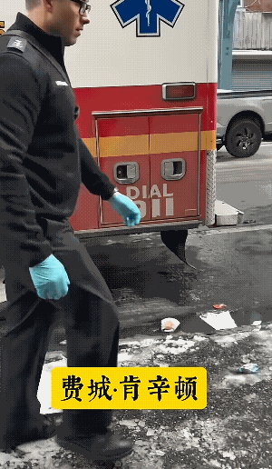 美国收尸人的故事，一位医学生美国留学，在导师的推荐下，去给法医师兄打零工，他的