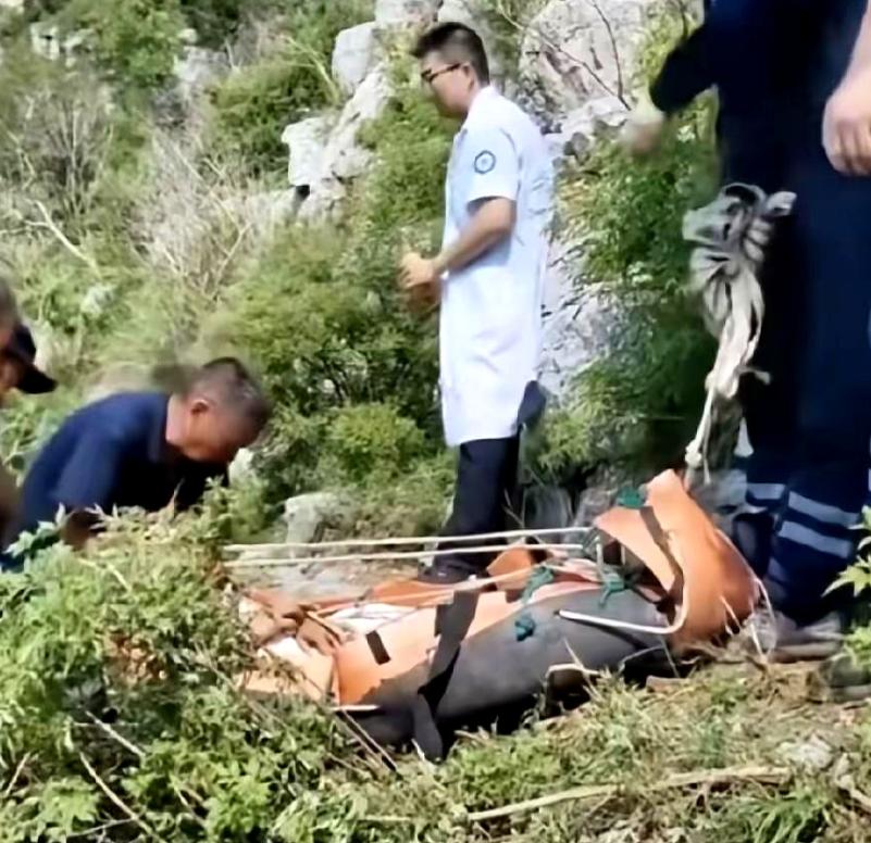 “程梦圆两哥哥亲自抬妹妹下山看哭全网。”事发点位车辆无法抵达，救援人员先用重载