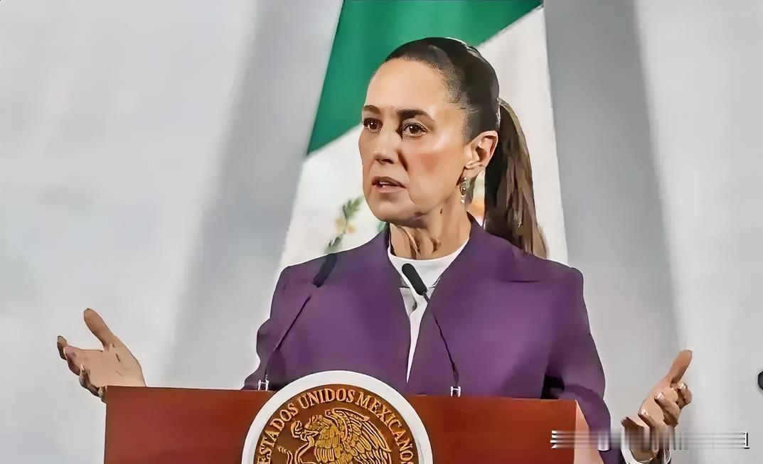 墨西哥总统辛鲍姆就美国总统特朗普日前的相关言论，墨西哥总统辛鲍姆当地时间11月1