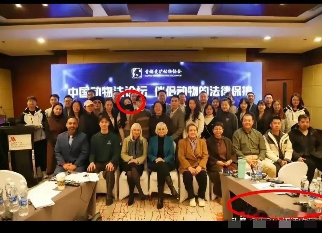 NGO：我们除了人事不会干，坏事最在行！