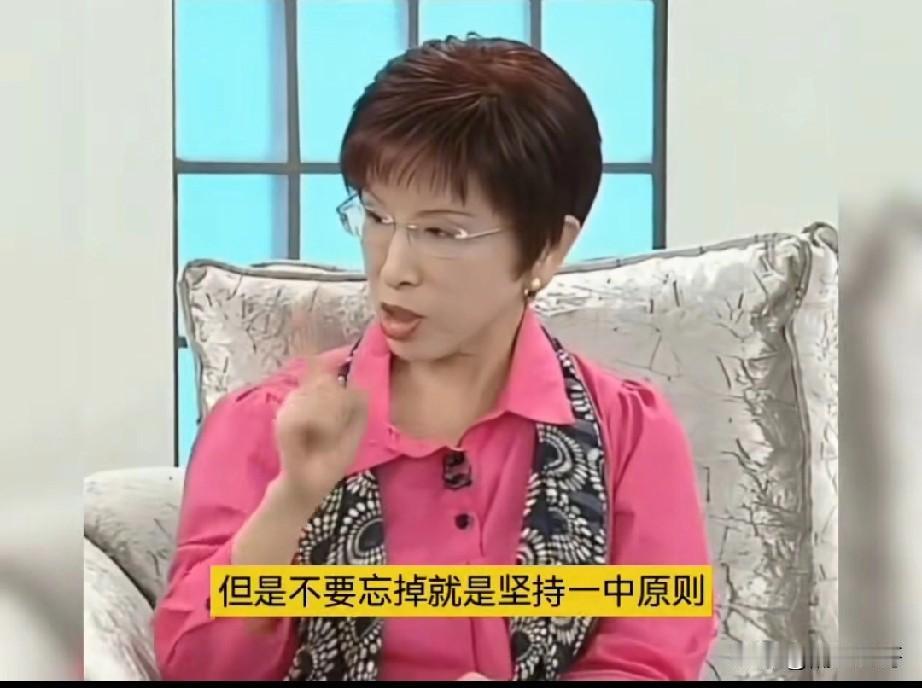 洪秀柱解释“九二共识”，批判国民党只讲前半句，不敢说后半句。她说：“九二共