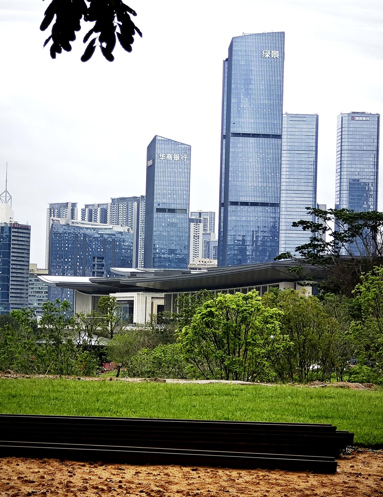 今天清晨路过深圳2026年APEC会议主会场，正巧碰上一群园林工人在上班，高颜值