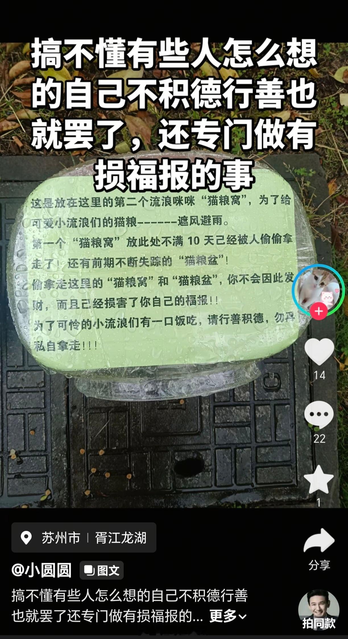 得有多缺德才要靠投喂流浪猫积德啊？😅