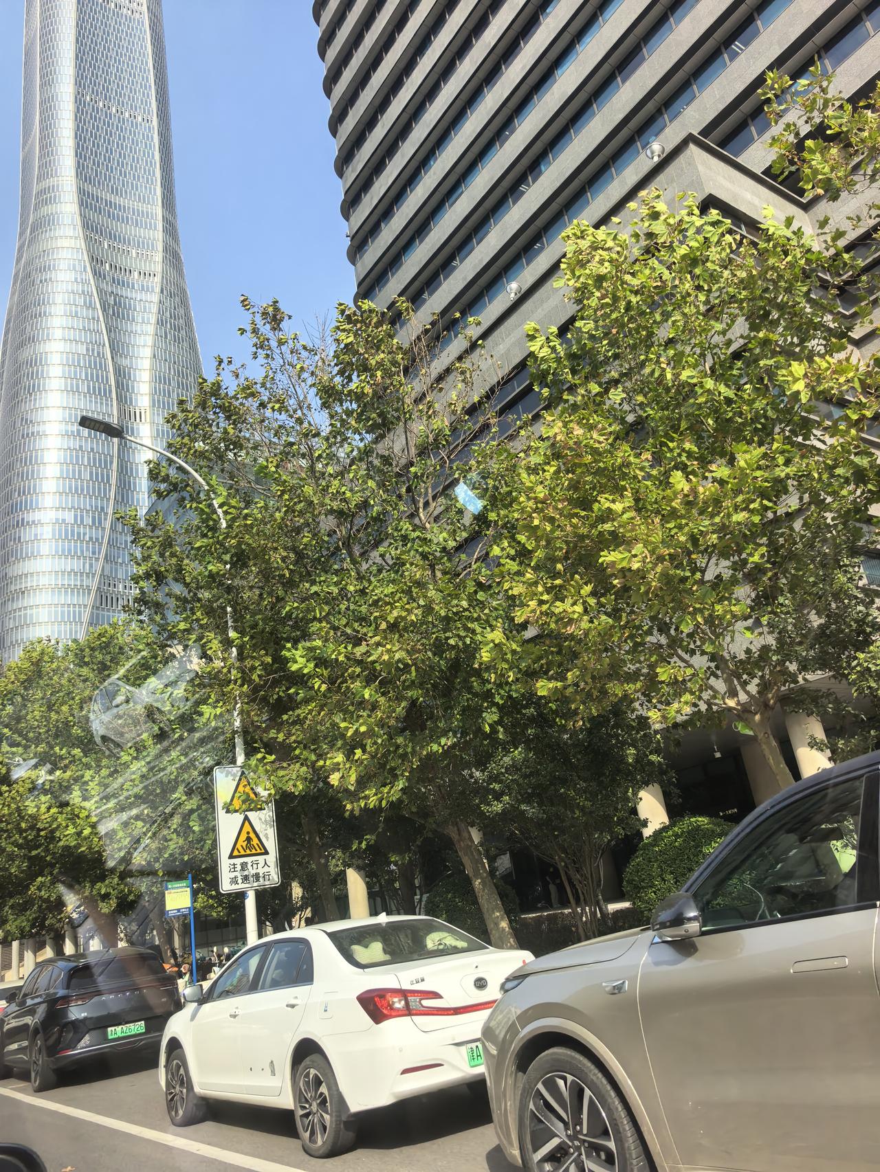 廊坊：身在曹营心在汉？提起廊坊，很多人第一反应是它独特的地理位置：地处京津