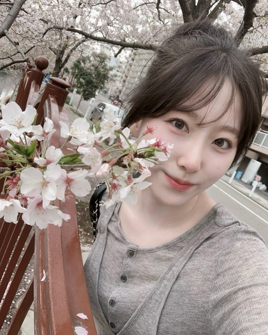 我手机里存了好多海棠花的照片。比起热门的樱花，我更爱海棠。三月樱花盛开时，武大、