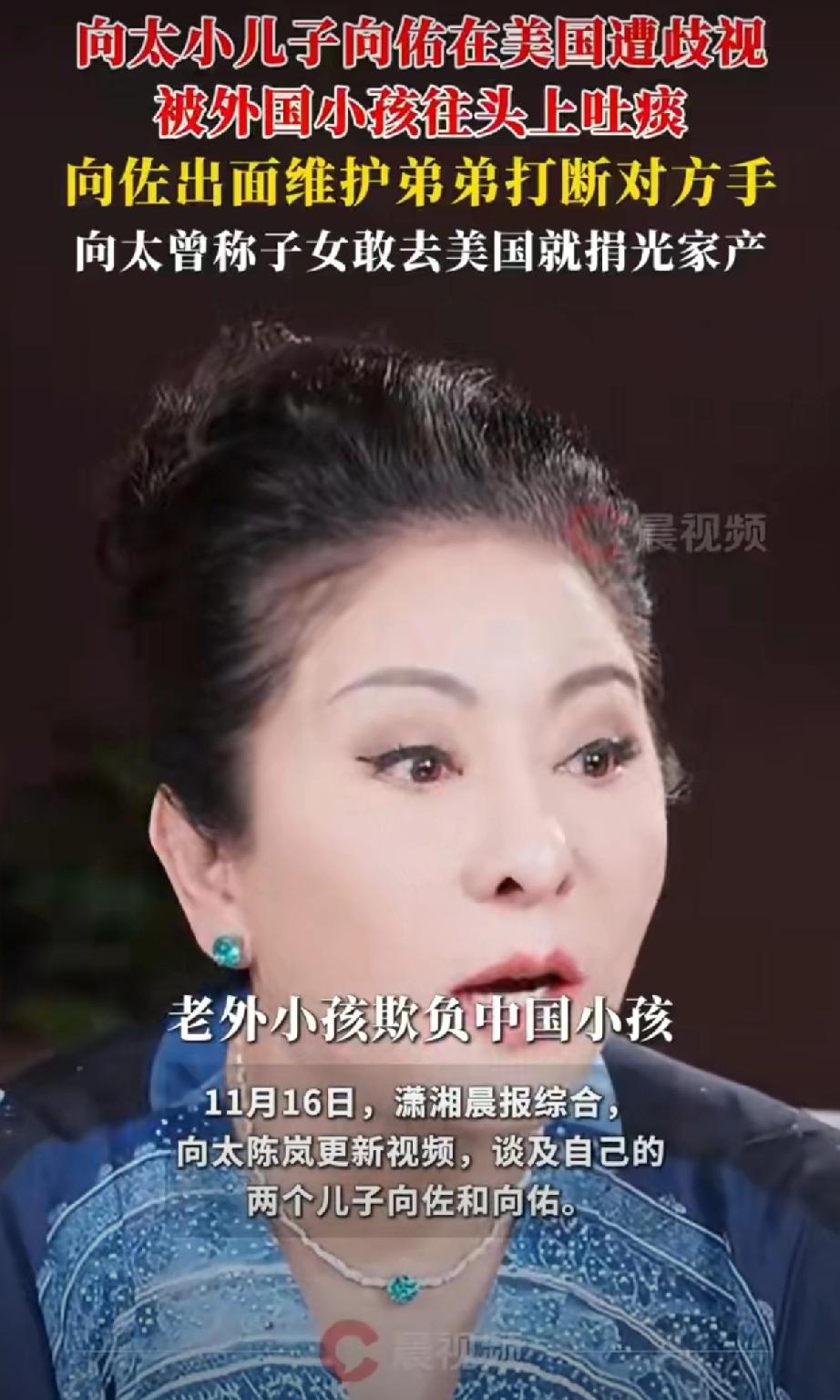 向太陈岚最近一段视频爆料，直接把自家俩儿子送上了热搜，原来豪门兄弟背后，竟藏着一