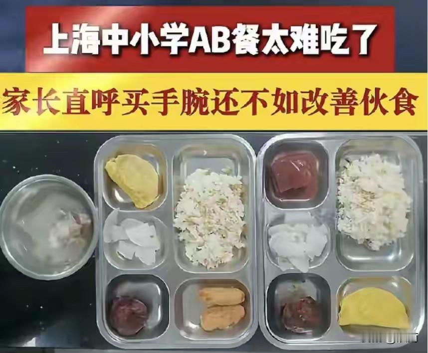 这是绿捷公司给学校提供的学生餐。可以看到每餐基本都是只有一个菜加一两个炸货再配
