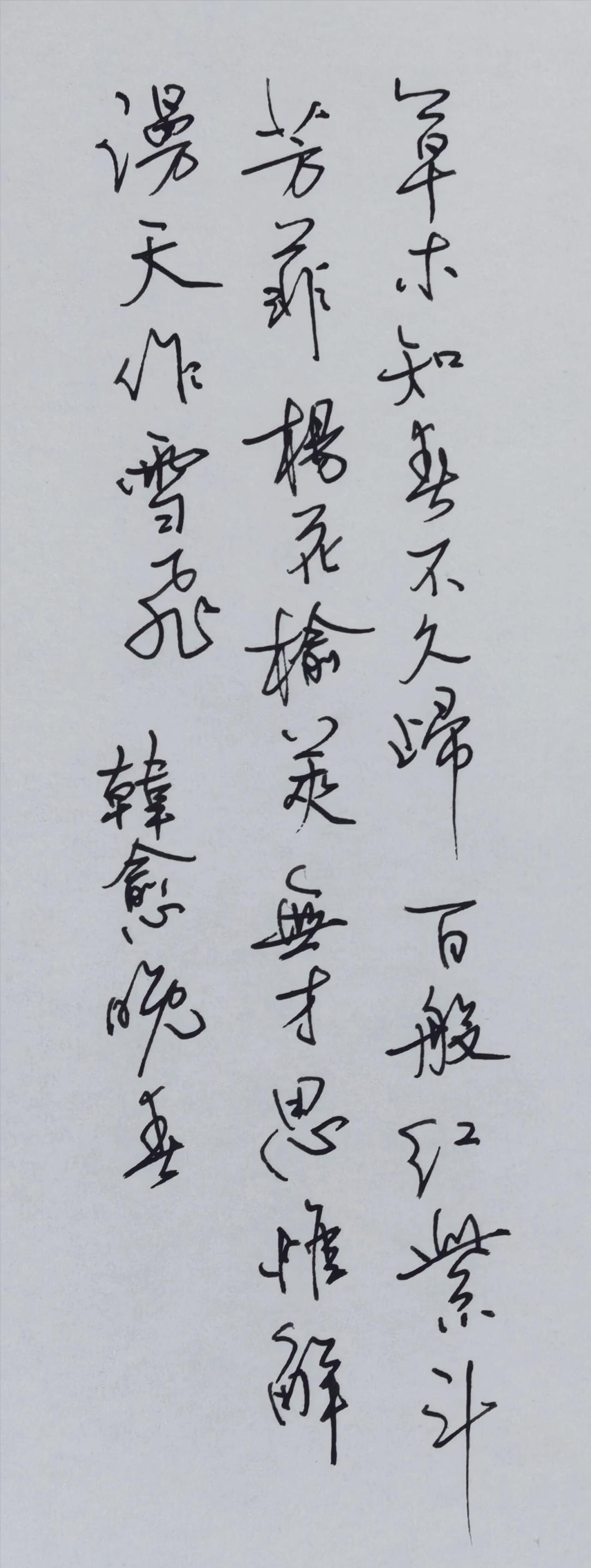 书法就得讲究轻重缓急，收放自如，钢笔也不例外。一张全貌，发4张局部。配一张