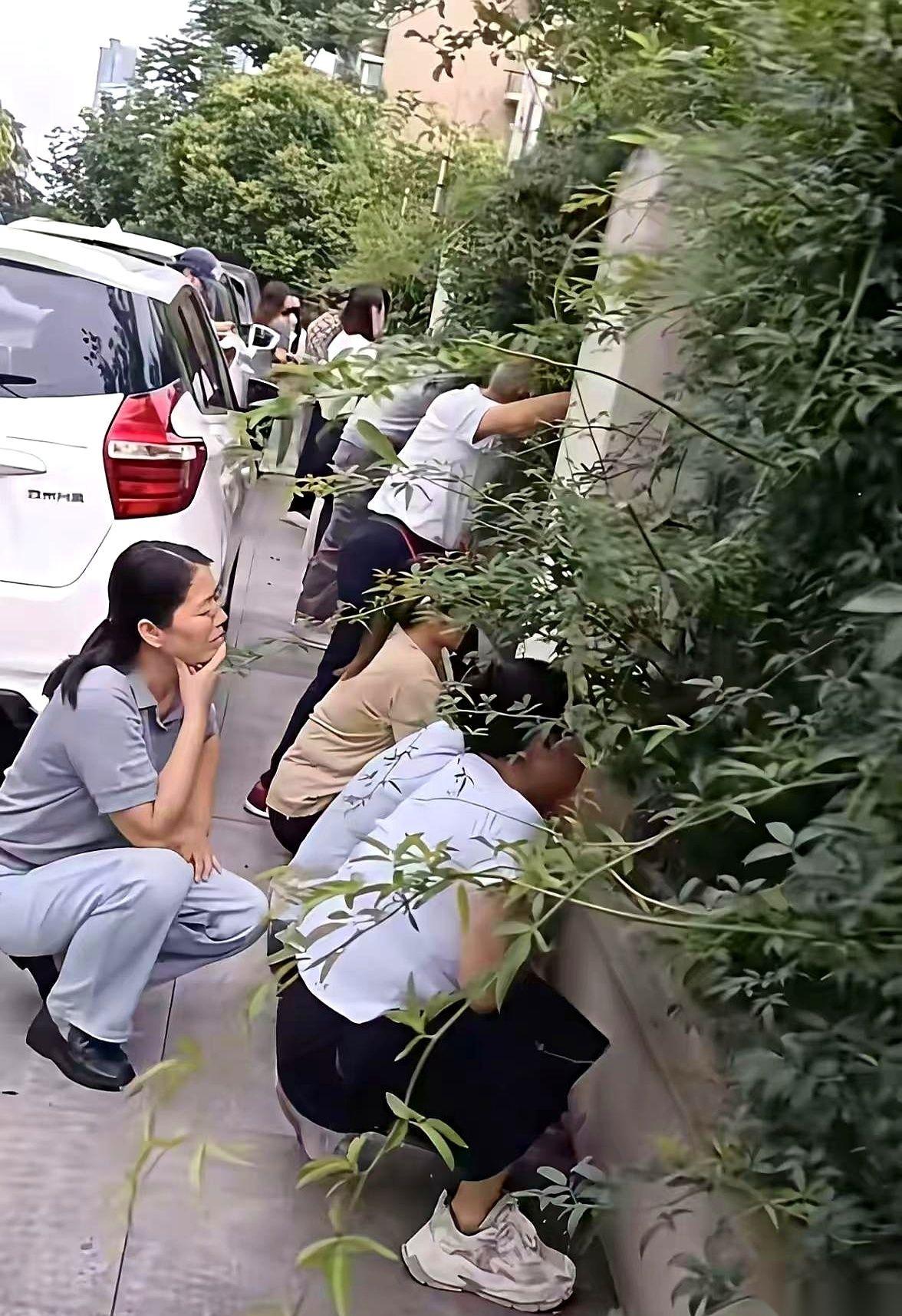 你敢信？一排加起来七八百岁的老头老太太，全撅着屁股趴在绿化带上。那眼神，堪比狙