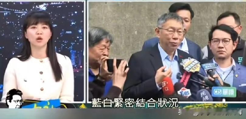 高嘉瑜这话算是说到点子上了！柯文哲和黄国昌根本就是两条心，一个想把民众党攥在手里