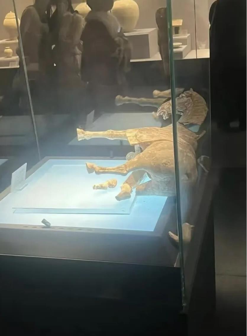 一声脆响，太揪心！2026年1月1日18时许，河南洛阳博物馆内，唐代彩绘抬腿陶