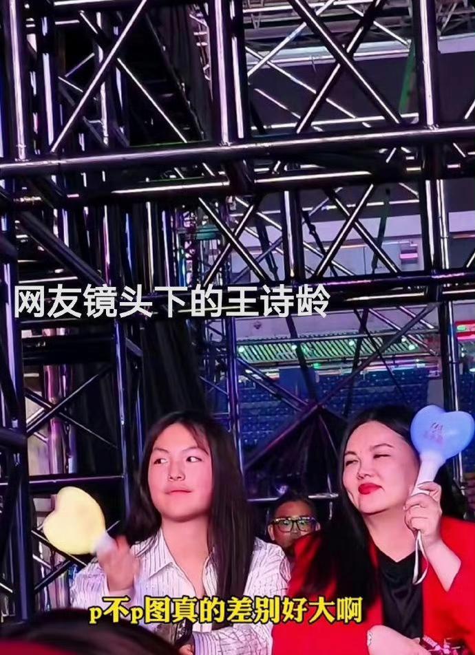 王诗龄小时候其实不算传统意义上的漂亮小孩——圆脸盘，小眼睛，笑起来还有点婴儿肥。