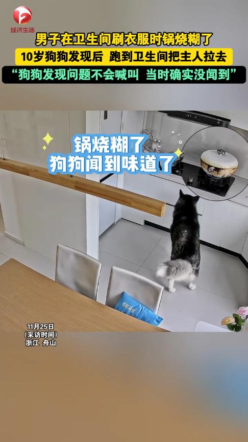 “万物皆有灵！”11月24日，浙江舟山，一男子蒸花卷时，又跑到卫生间洗衣服，结果