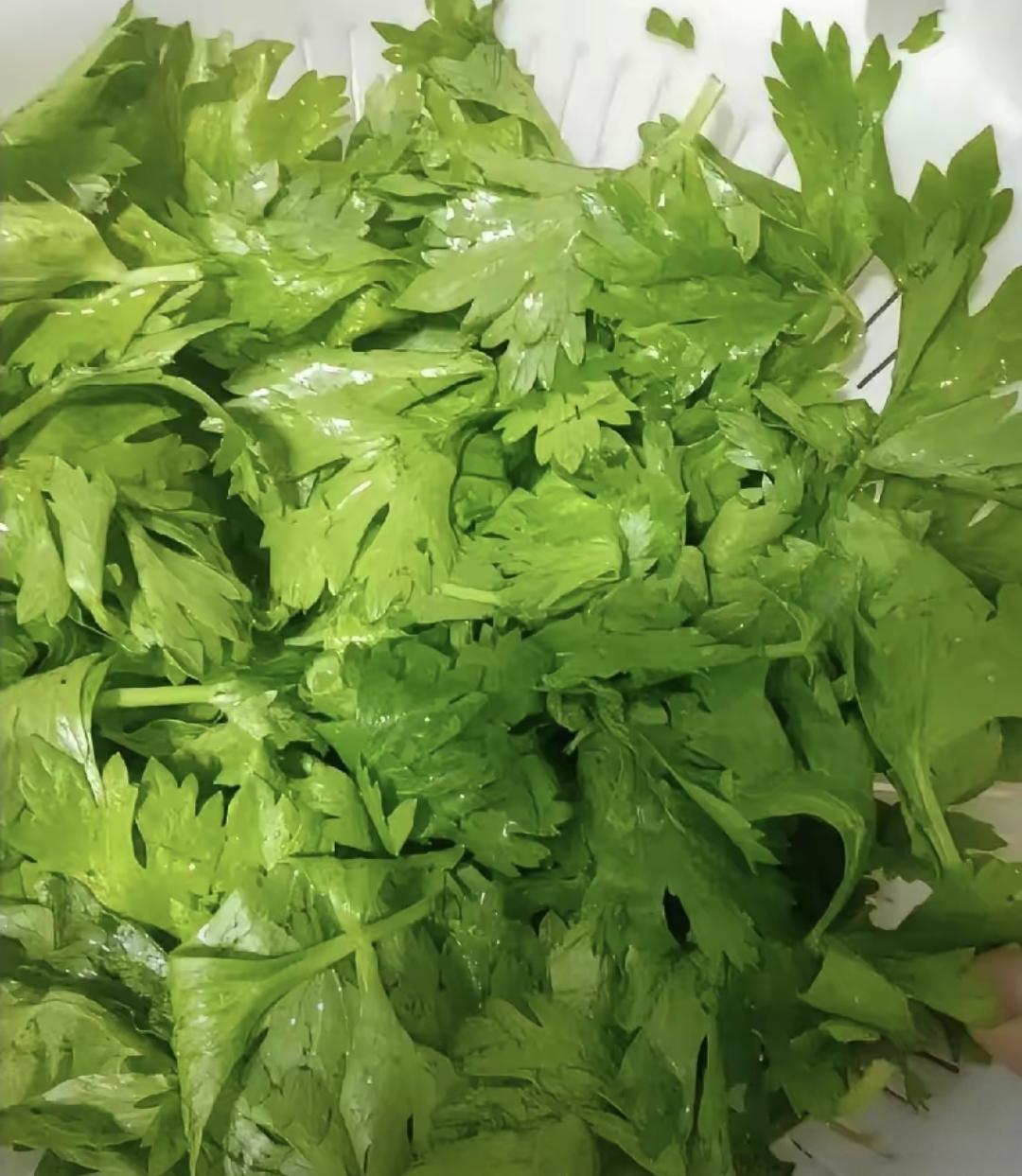 我家楼下新疆拌面馆每天都要处理几十斤芹菜，叶子全扔垃圾桶。前两天看见老板娘把整袋