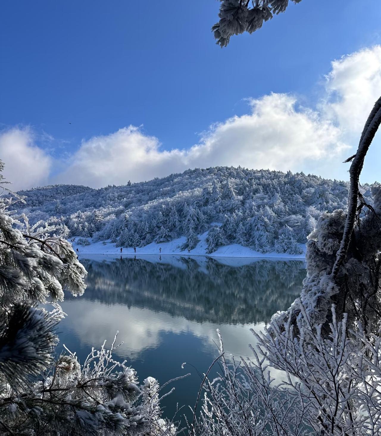 下完雪❄️的百丈岭也太美了！新年杭州一场雪，让很多不想出门的人，又重新拾起