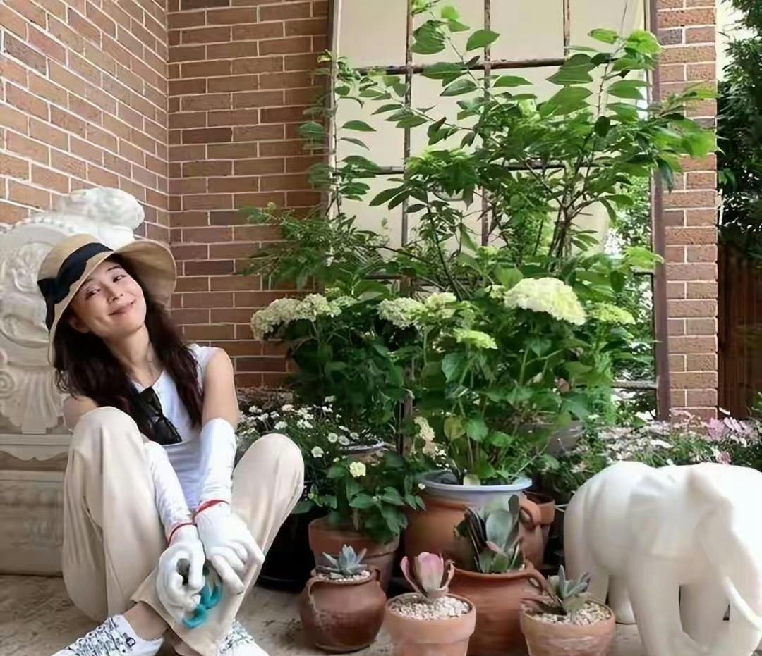 演员张静初的私家庭院近日走红网络，仅凭一方生机盎然的菜园便惊艳众人，瞬间圈粉百万