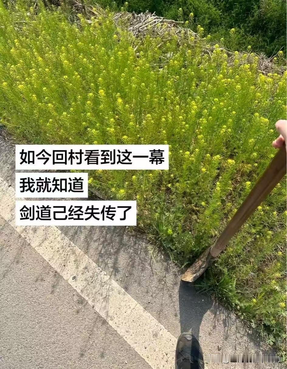 有朝一日剑在手，十里菜花不抬头