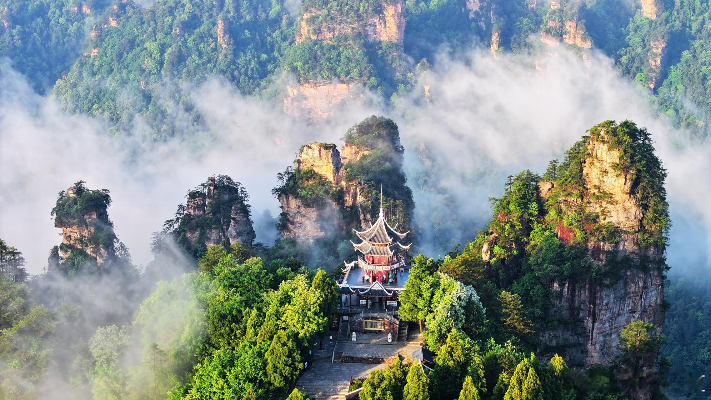 雨后的张家界，白色云雾萦绕青翠山峰，时浓时淡变幻如仙境‌～​​​