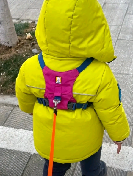 一代人有一代人的溜娃方式