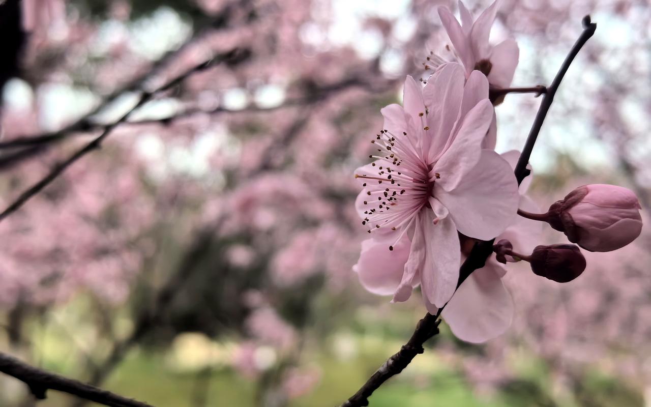 【热评】基础教育功在守正慎提改革建议基础教育学制缩短为532针对全国两会
